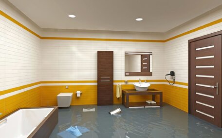 Differentiate Plumbing Appliance Issues